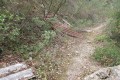 Le chemin aux "détritus" du point 6