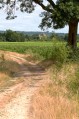La boucle de la Dordogne entre Pessac-sur-Dordogne et Ribebon