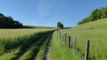 Le chemin conduisant au col d'Angely