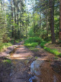 Le chemin croise un ruisseau