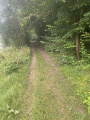 le chemin dans le bois de Guerbigny