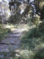 Le chemin de croix
