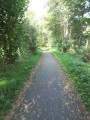 Le chemin de halage sur la Voie verte