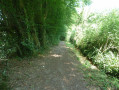 Le chemin de la Fontaine des Prêtres