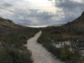 Le chemin de Malvallon