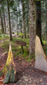Le Chemin de Mont Derrière