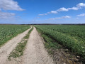 Le chemin de Radepont