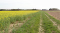 Le chemin de randonnée dans le Val de Loire