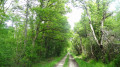 Le chemin de randonnée peu après le domaine de Chilly Le chemin de randonnée peu après le domaine de Chilly