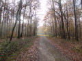 Le chemin de randonnée près du départ Le chemin de randonnée près du départ