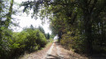 Le chemin de randonnée