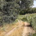 Le chemin de randonnée