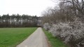 Le chemin de randonnée