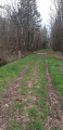 Le Chemin de Tallant