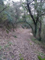 le chemin de Trans