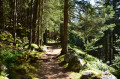 Le chemin des diligences
