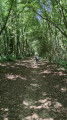 le chemin des Hogues