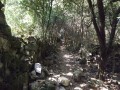 Le chemin des Lépreux