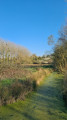 Le chemin des marais