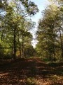 Le Chemin des Matériaux