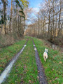 Le chemin du Moulin Neuf - La treille