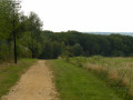 Le chemin du Parc