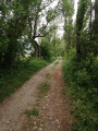 Autour d'Estavar