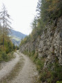 Dans les forêts de Thal (Tyrol oriental)