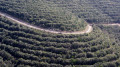 Le chemin du retour vu du château