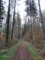 Le Chemin du Tour des Bois