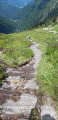 Le chemin en dalle Le chemin en dalle