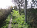 Le chemin en remontant sur Mervilla