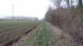 Le chemin entre champs et forêt