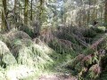 Le chemin est la-dessous!