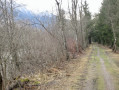 Rund um das Dorf Tristach