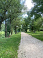 le chemin le long du plan d'eau