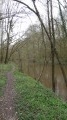 Le chemin longe le Cosson