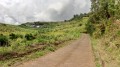 Le tour du Piton Rouge par les chemins Mélina et Queue de Cheval