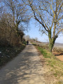 Le chemin surplombe le vignoble