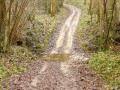 Le chemin vers Germigny sous Coulombs