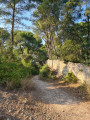 Le chemin vers le château