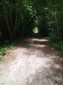 Le Chemin Vert