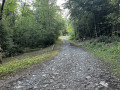 The Chemin Vert