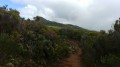Le chemin