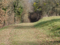 Le chemin