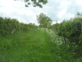 Le chemin rural de Luzoir à Clairfontaine