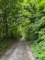 Le chemin