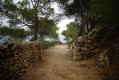 Le chemin