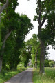 Le Chesnay