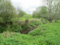 Le Chevireuil